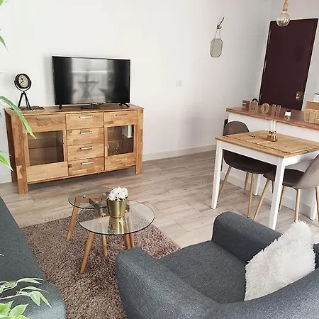 'mini Jungle' En El Corazon De Apartment Cadiz
