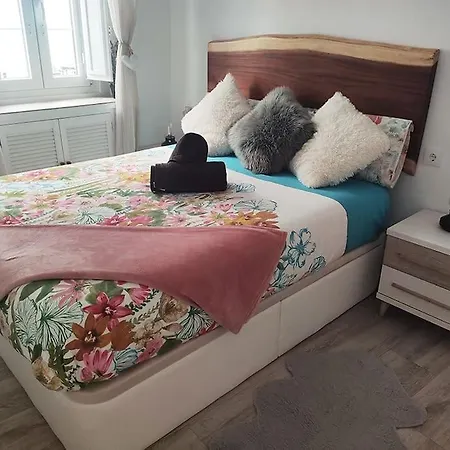 'mini Jungle' En El Corazon De