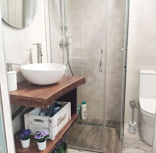 'mini Jungle' En El Corazón De